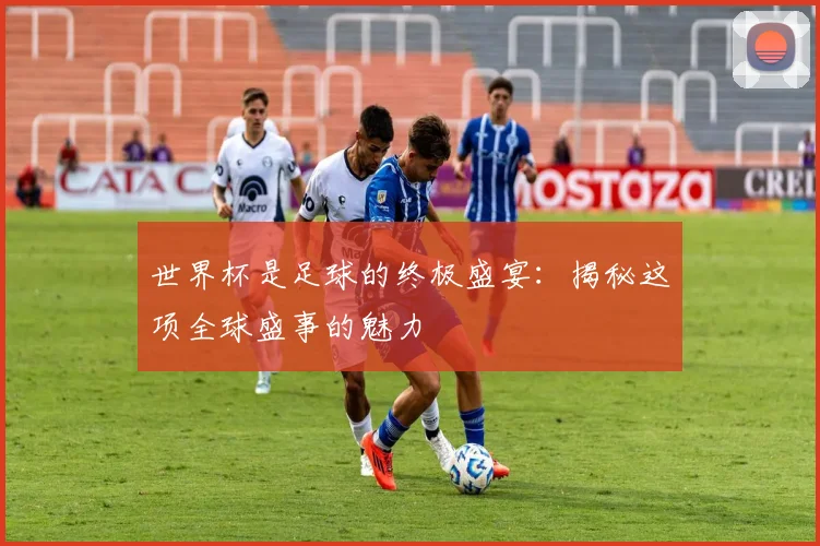 世界杯是足球的终极盛宴：揭秘这项全球盛事的魅力